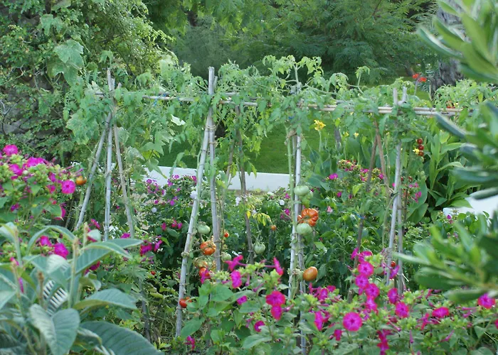 Hamilton Court Aparthotel