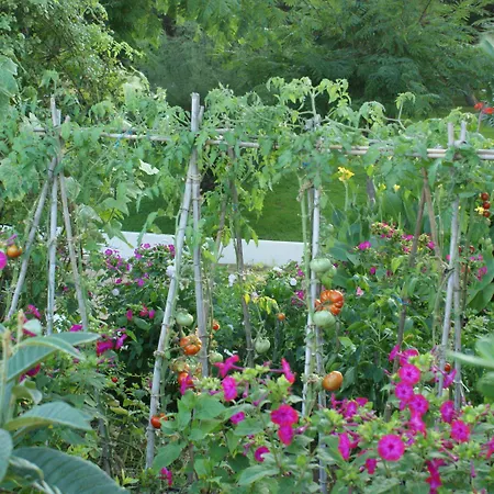 Hamilton Court Appart hôtel