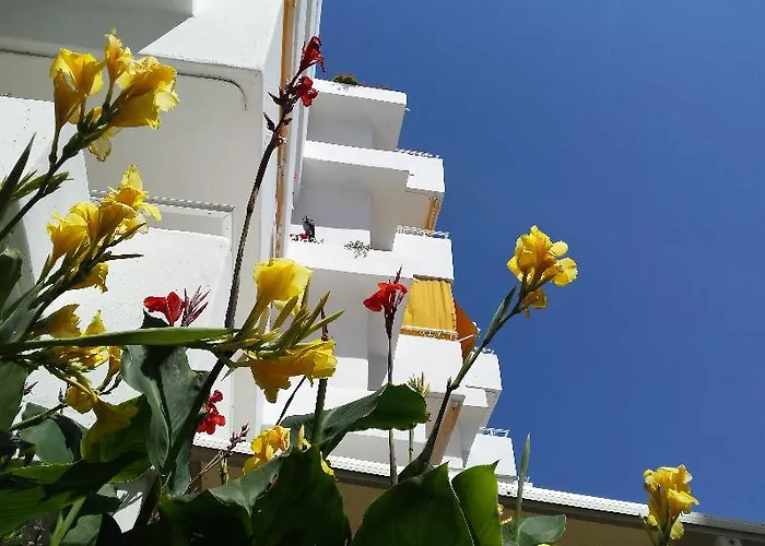 Hamilton Court Santo Tomás